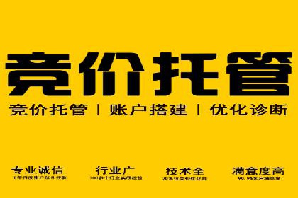 成功案例：SEM代运营服务公司助力企业业绩翻倍